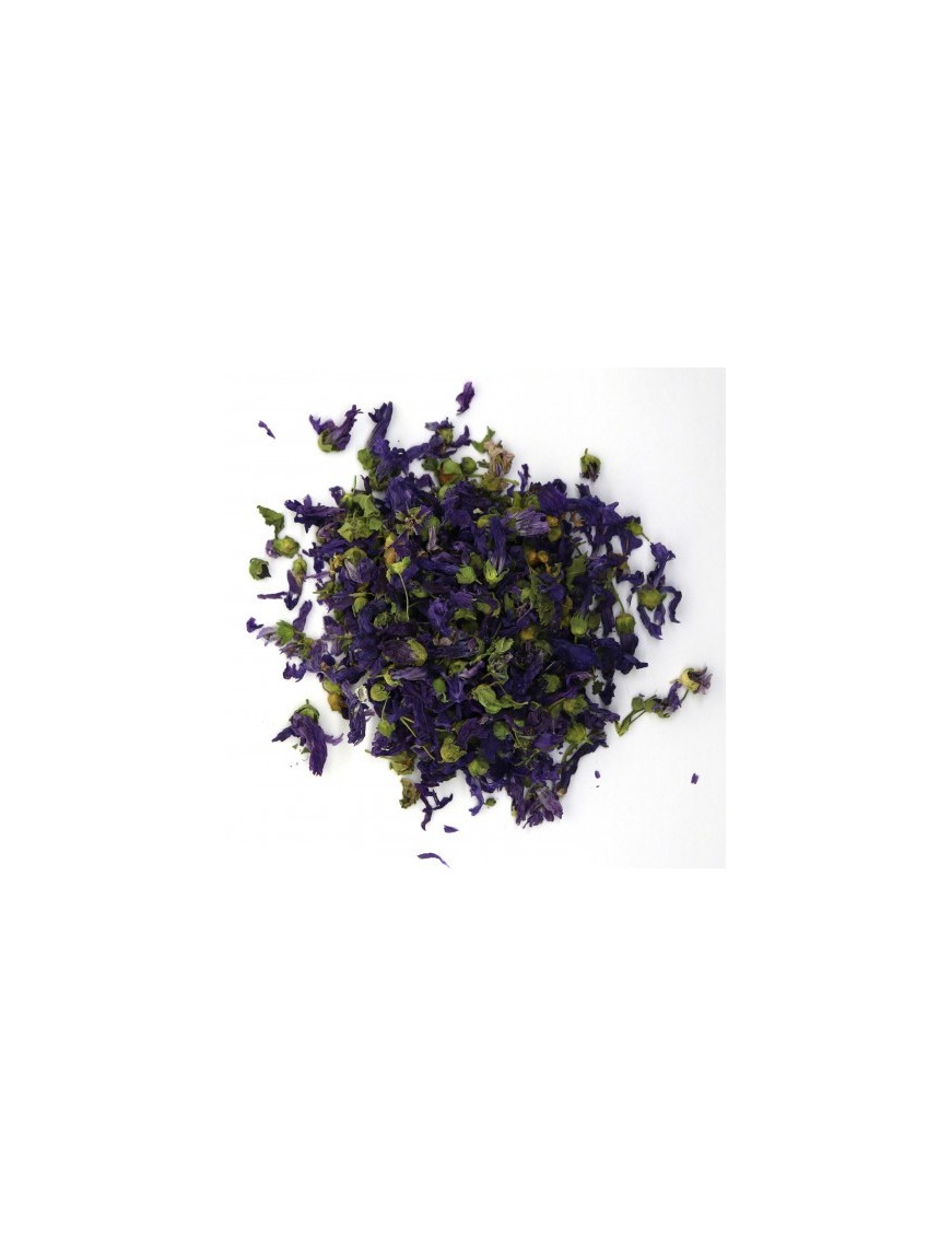 ER-MVFIFL-fiore-di-malva-blu.jpg