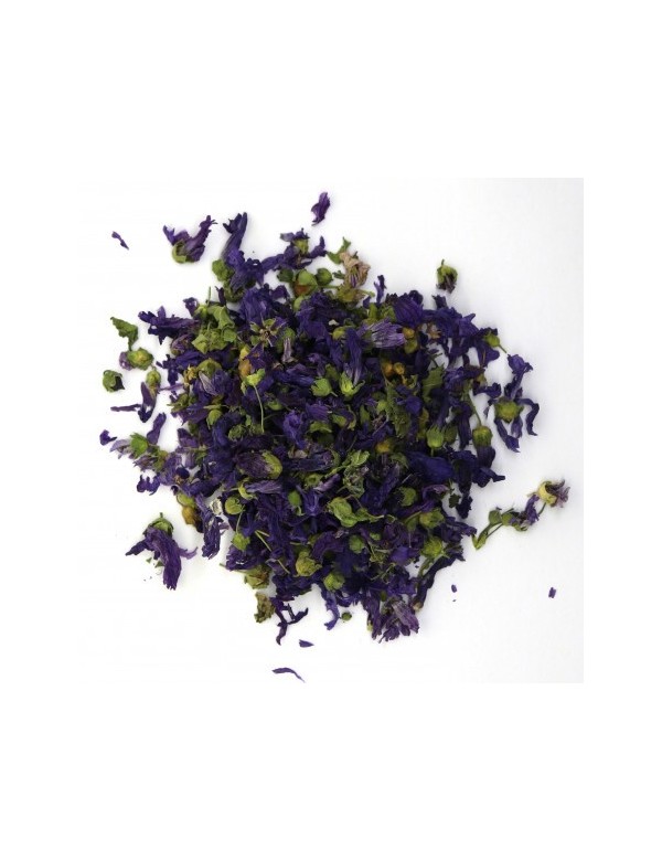 ER-MVFIFL-fiore-di-malva-blu.jpg